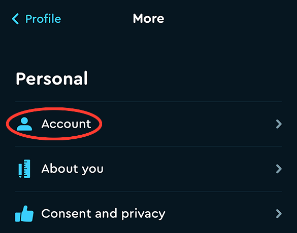 The top of the More screen. Under the heading Personal the rows read Account, About you, Consent and privacy; Account is circled in red.